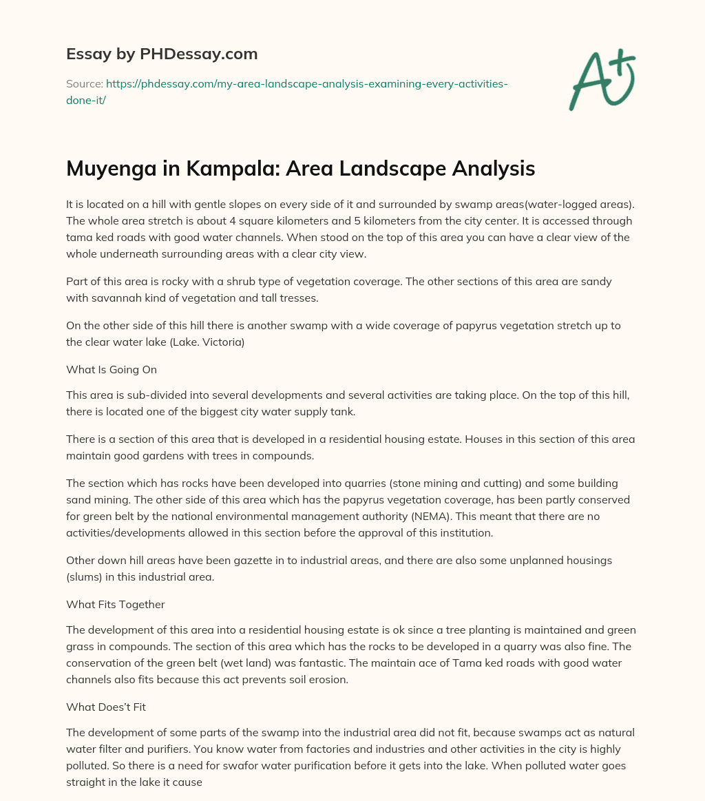 Muyenga in Kampala: Area Landscape Analysis essay