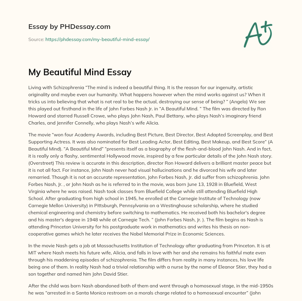 My Beautiful Mind Essay essay