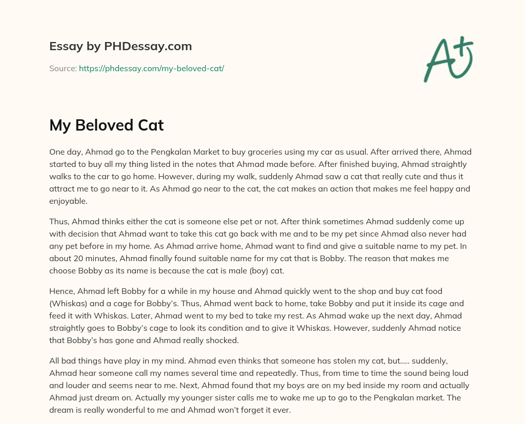 My Beloved Cat essay