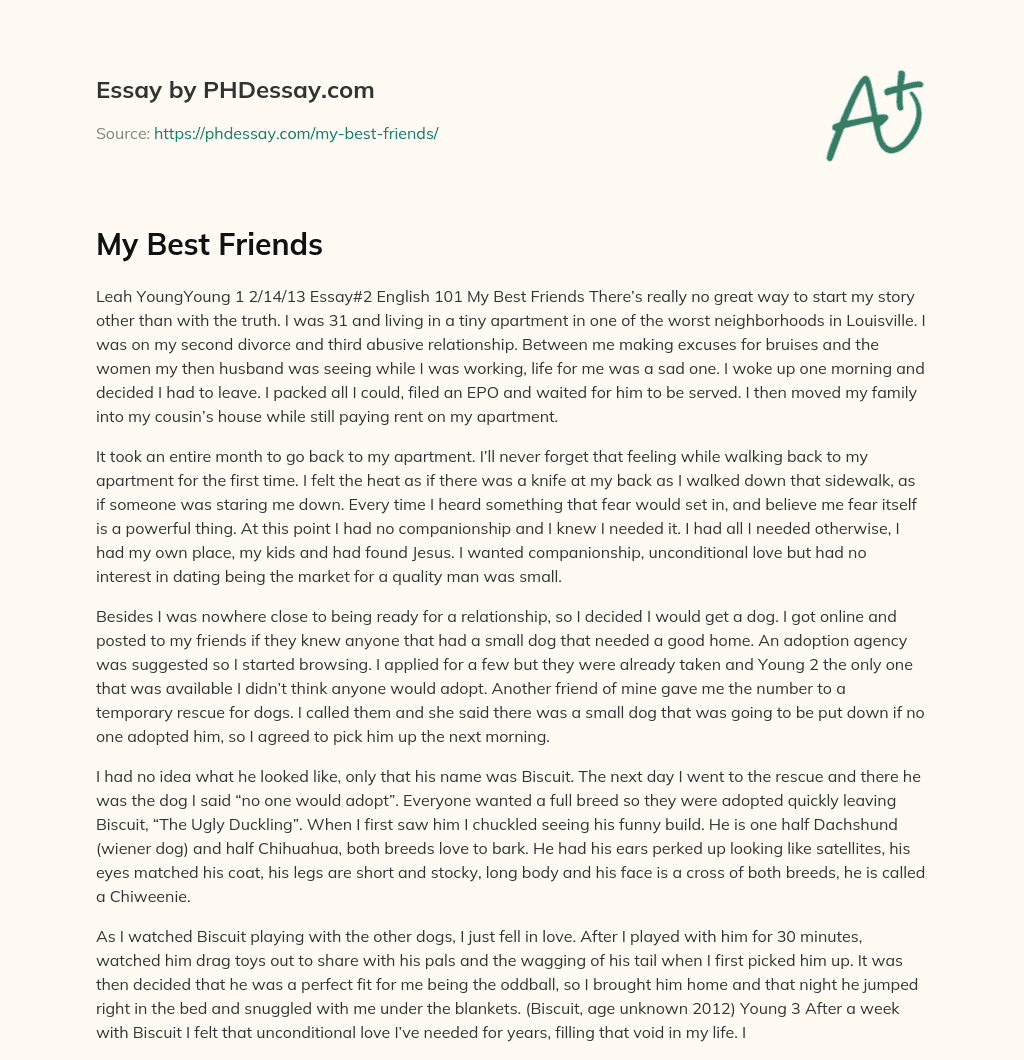 My Best Friends essay
