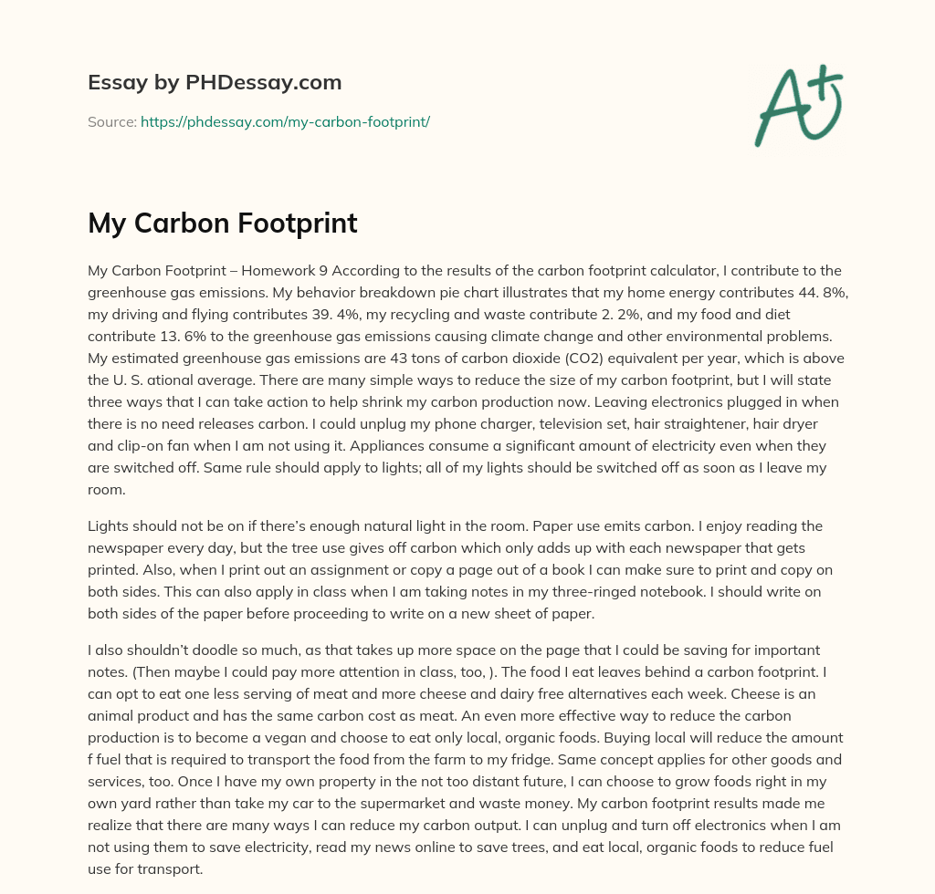 My Carbon Footprint essay