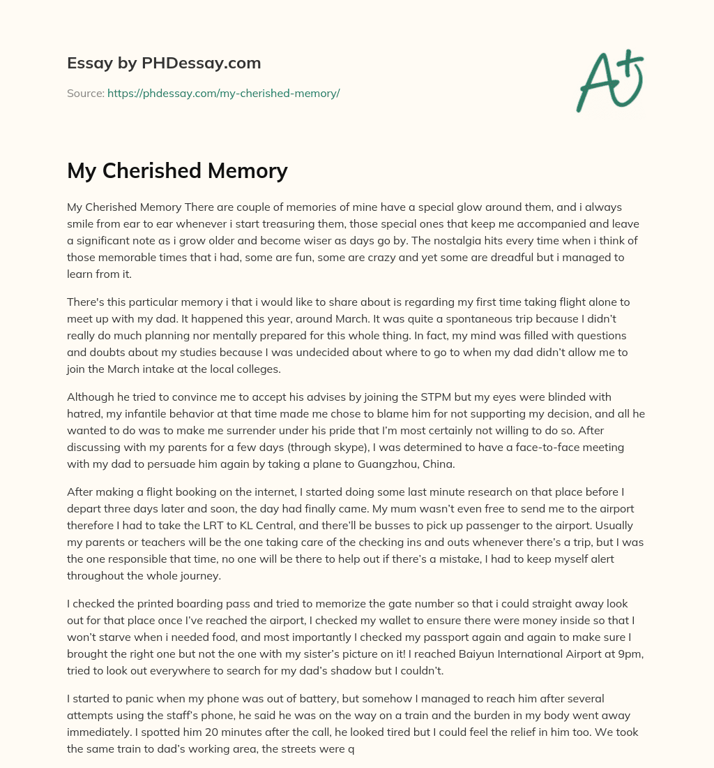 My Cherished Memory essay