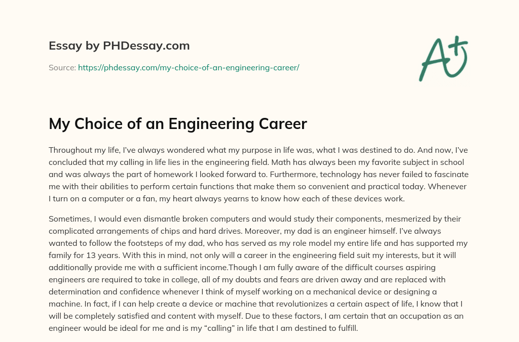 example of essay about career choice