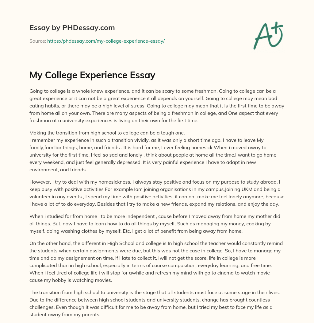 essay on my experience in the university