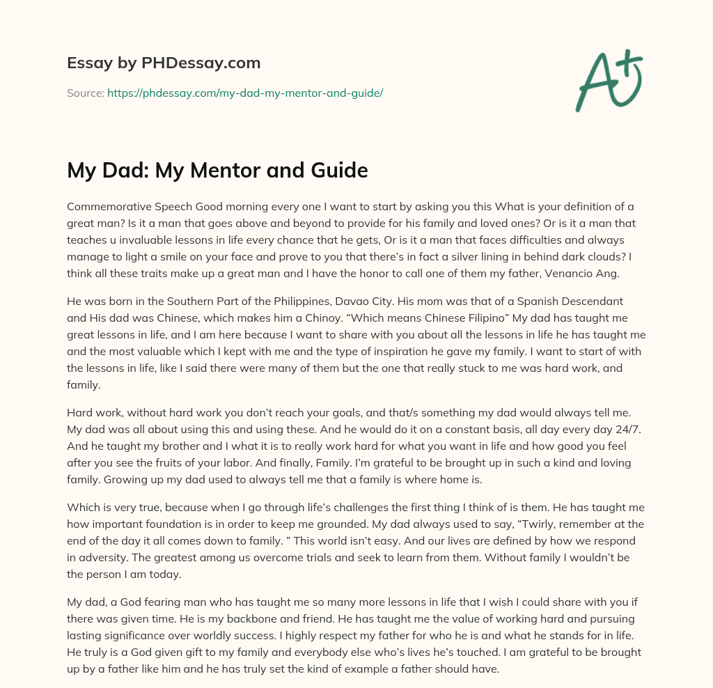 My Dad: My Mentor and Guide essay