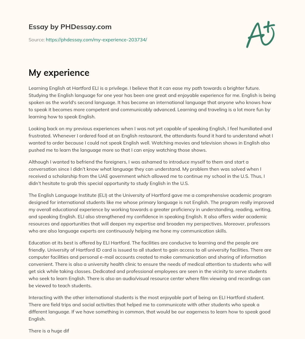 My experience essay