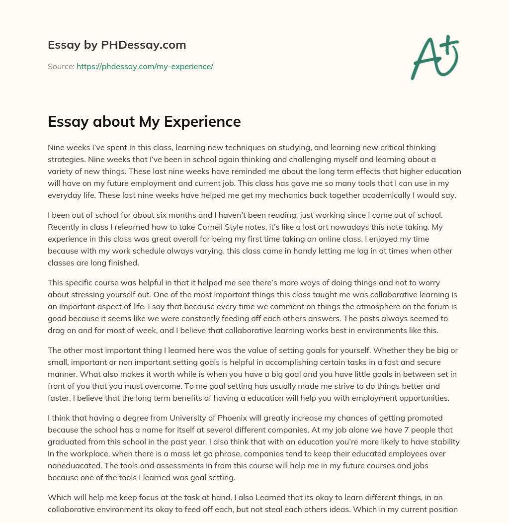 essay about great experience