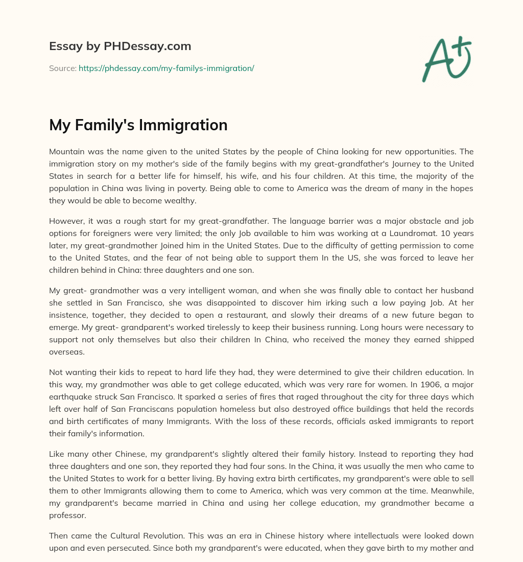 My Family’s Immigration essay