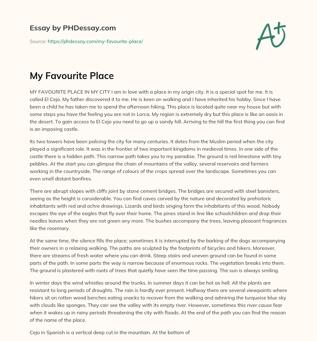 My Favourite Place essay