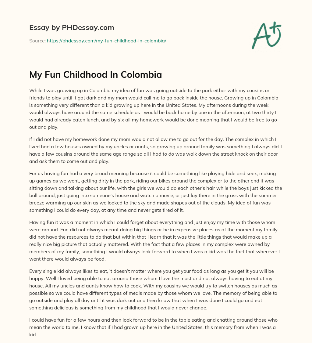 My Fun Childhood In Colombia essay