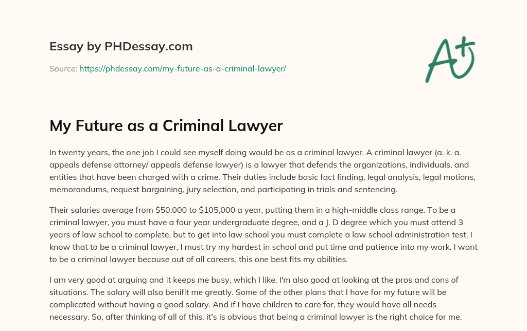 criminal lawyer essay