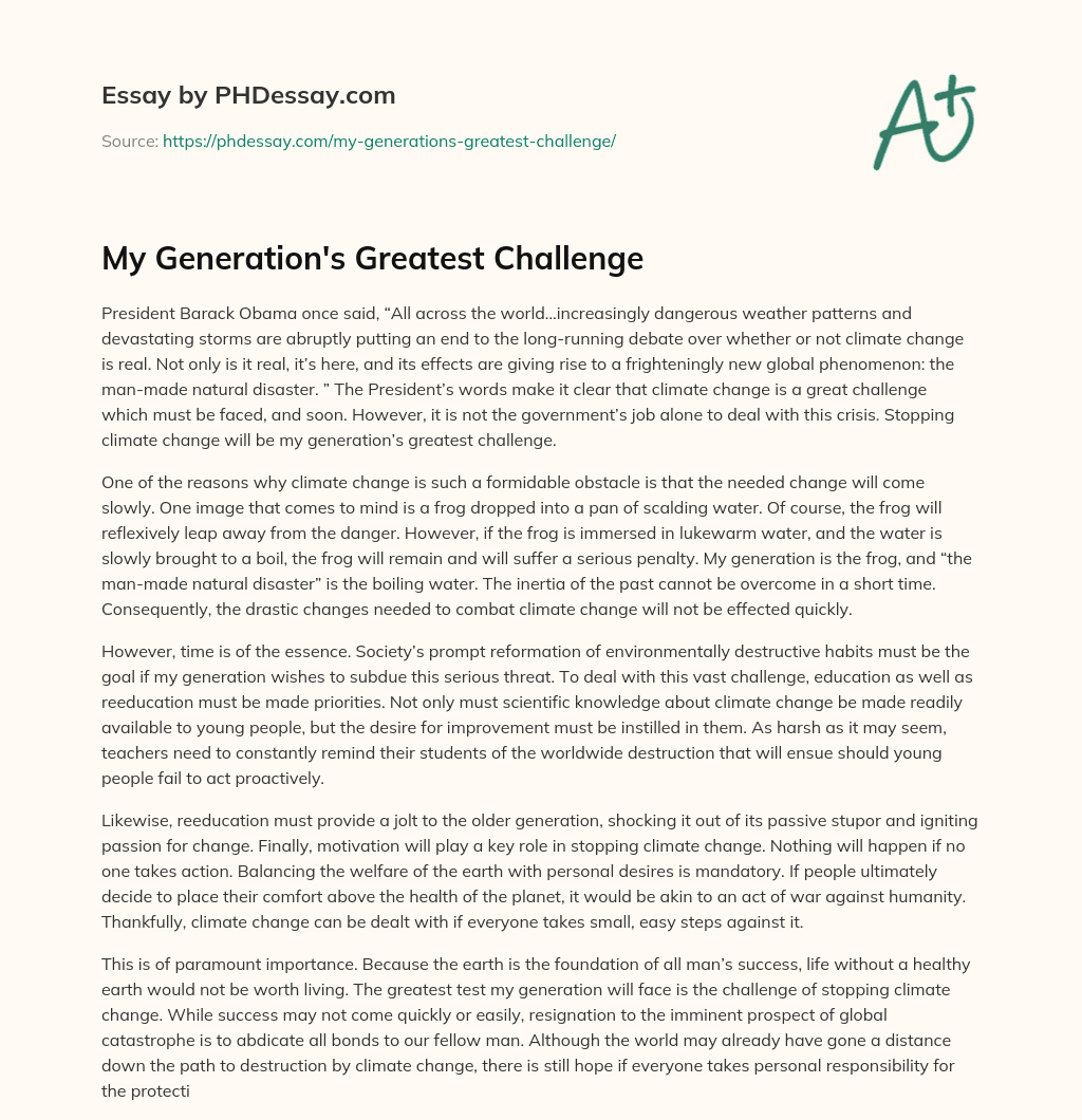 My Generation’s Greatest Challenge essay