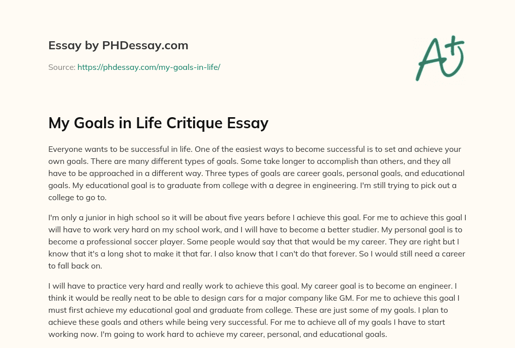 My Goals In Life Critique Essay 300 Words PHDessay