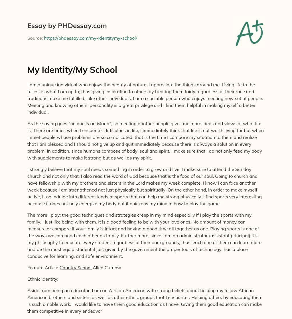 My Identity/My School essay