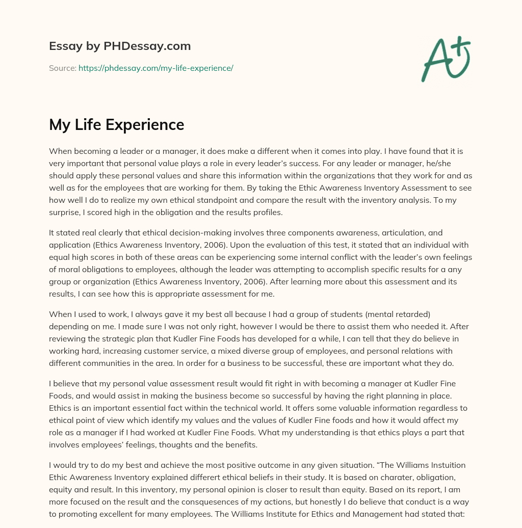 essay on my life experience
