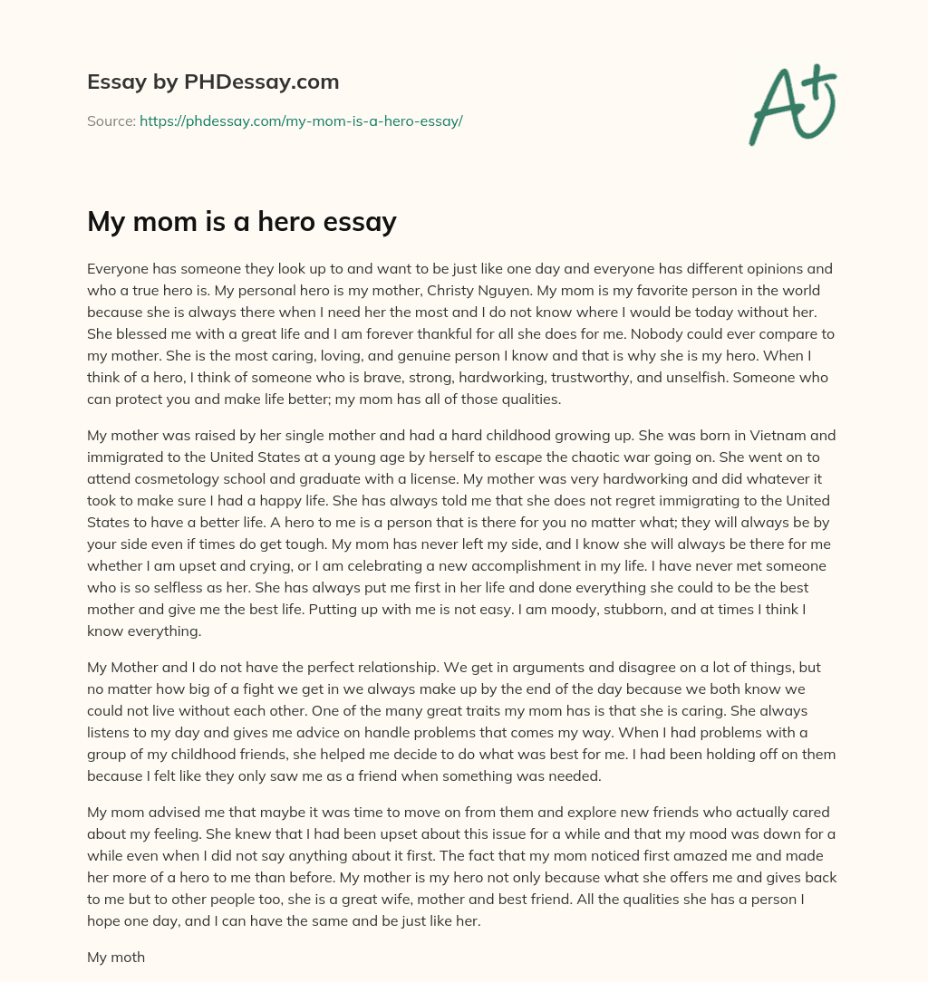 descriptive essay about my mother my hero