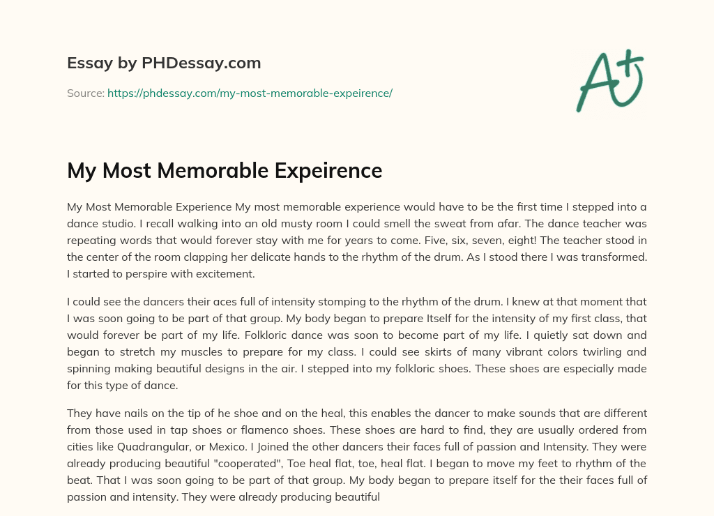 My Most Memorable Expeirence essay