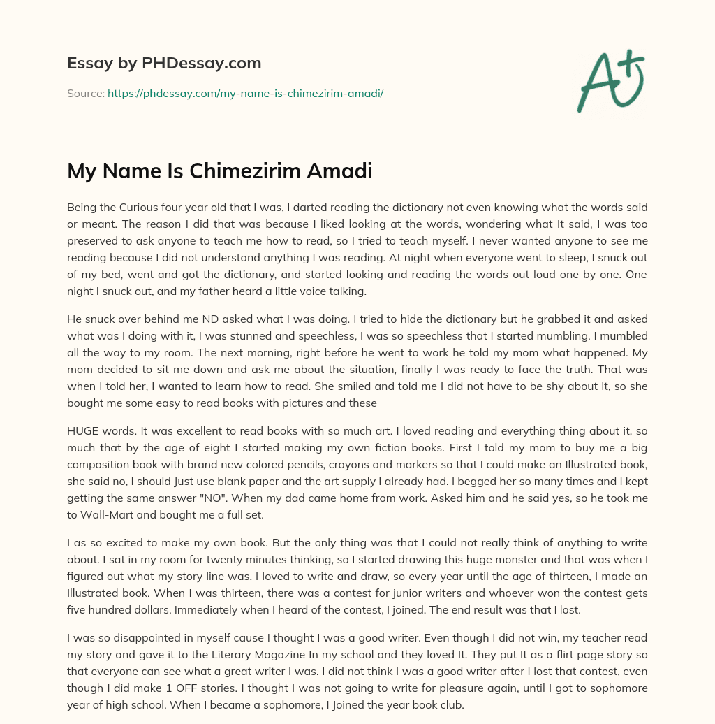 My Name Is Chimezirim Amadi essay