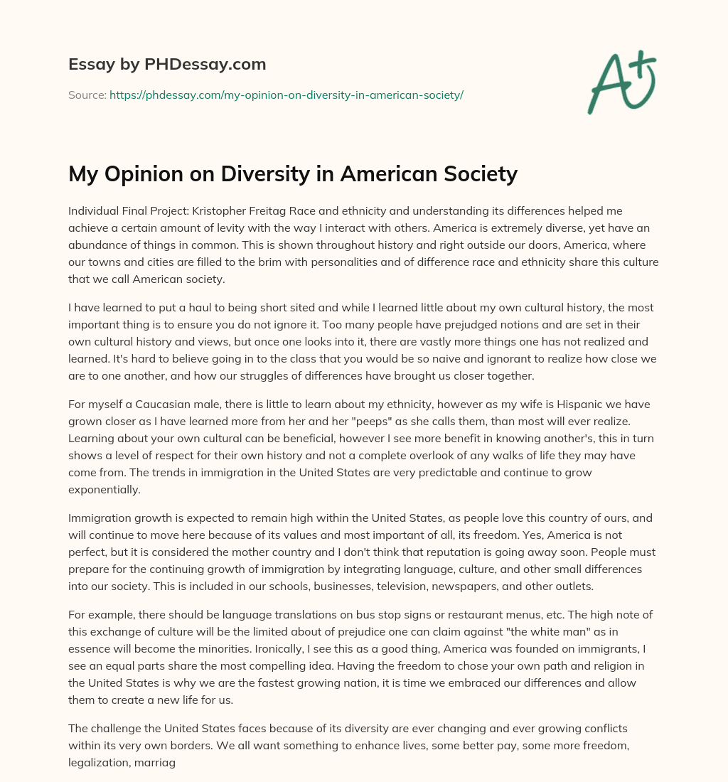 My Opinion on Diversity in American Society essay