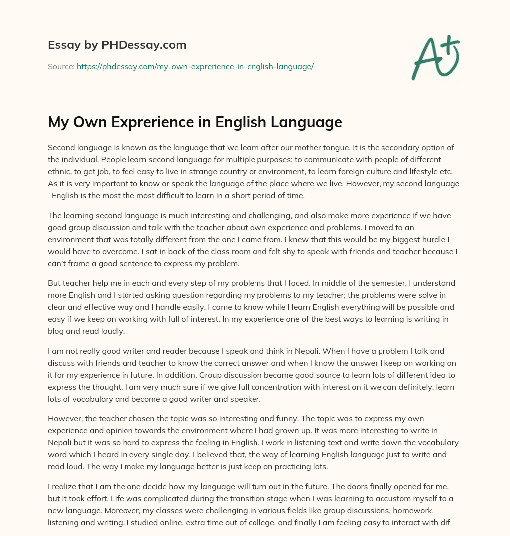 My Own Exprerience in English Language essay