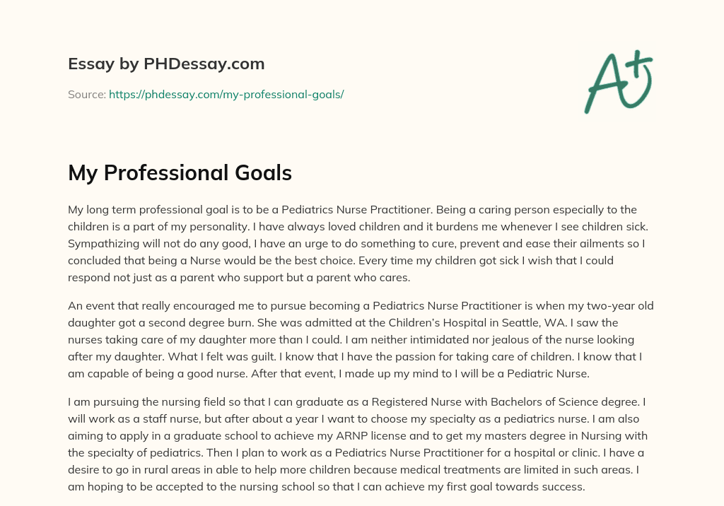 My Professional Goals essay