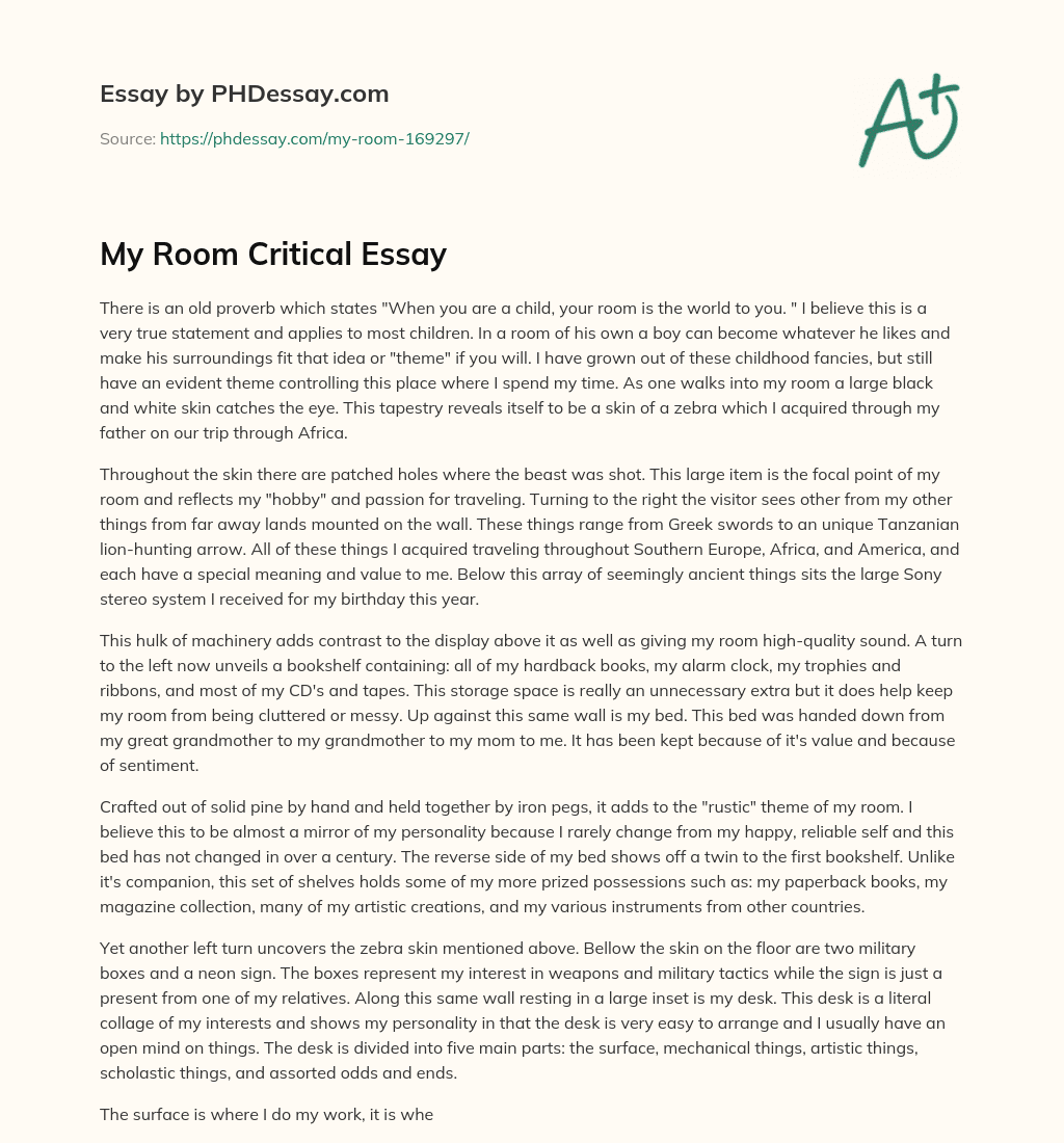 My Room Critical Essay essay
