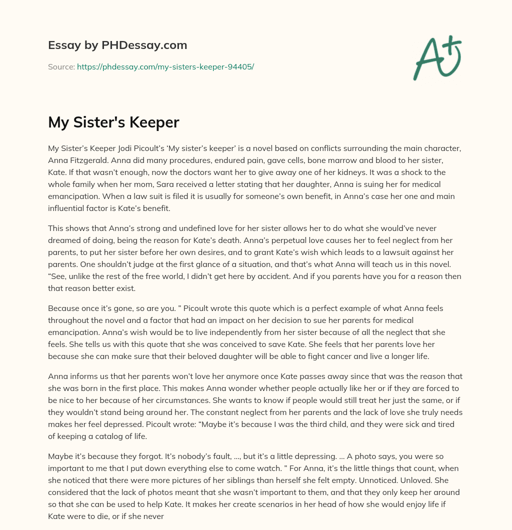 essay on my sister's keeper