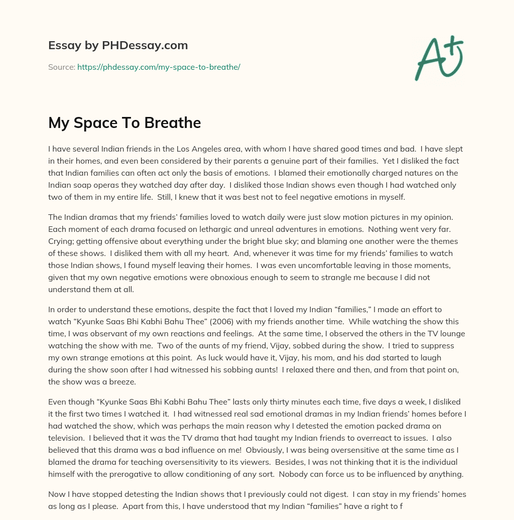 My Space To Breathe essay