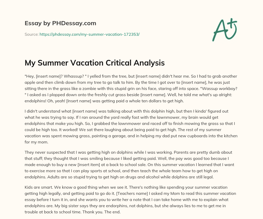 My Summer Vacation Critical Analysis essay