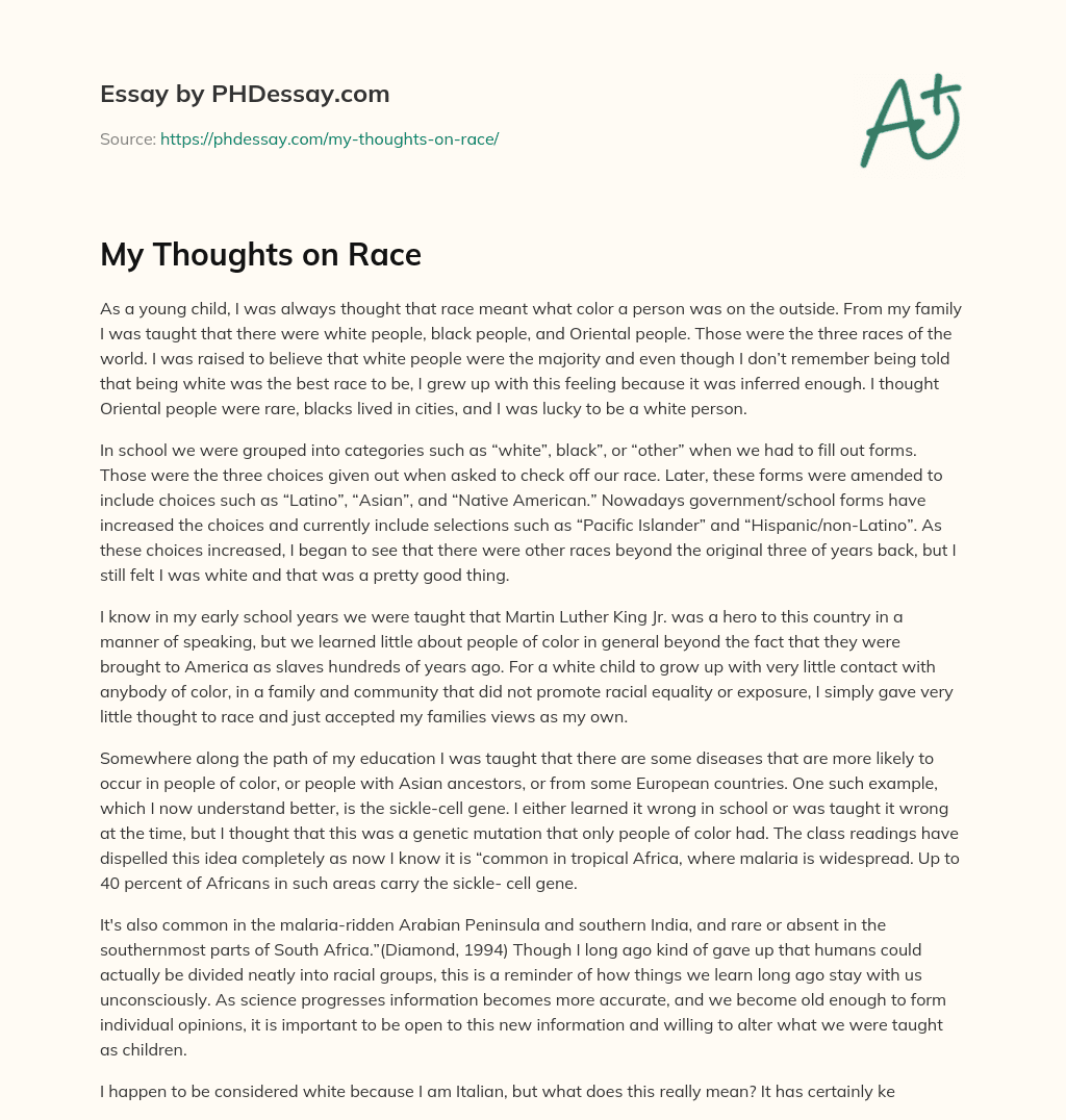 My Thoughts on Race essay