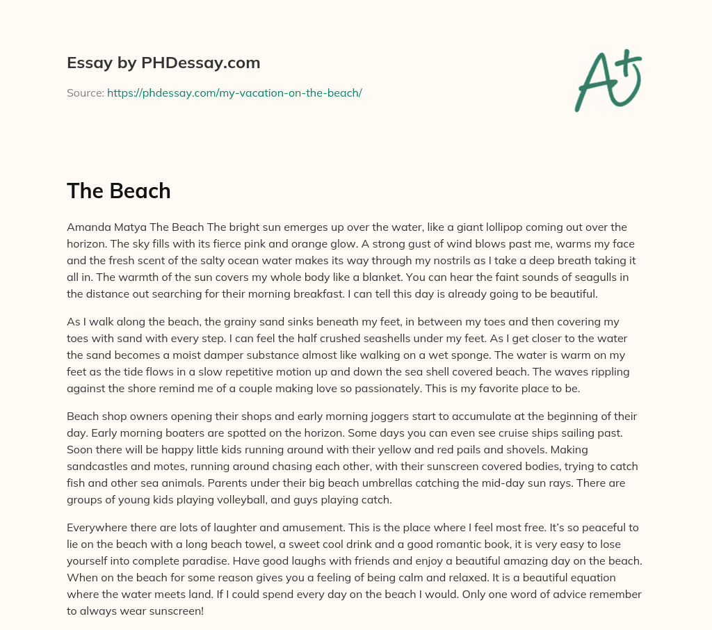 Describing the Beauty of a Beach Morning essay