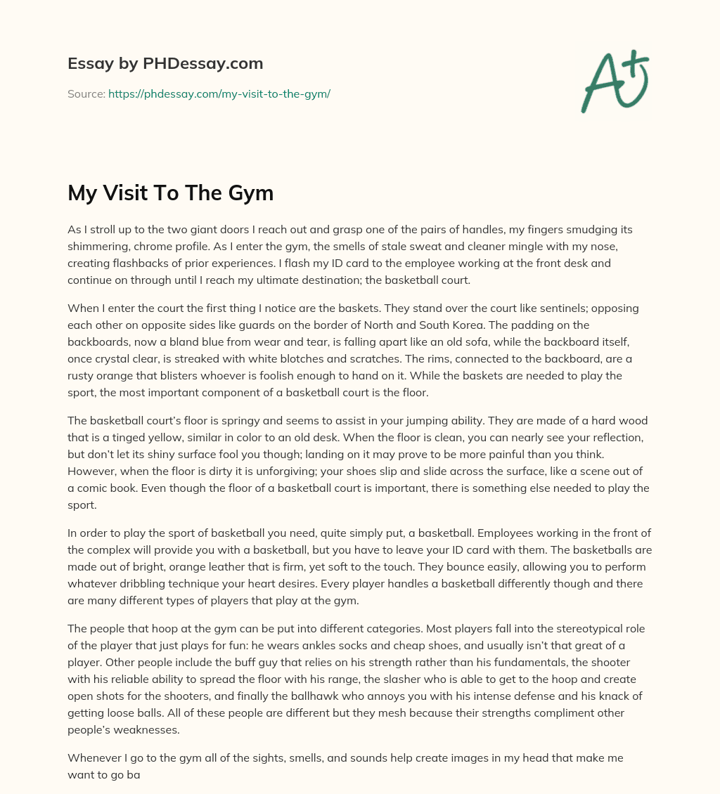 My Visit To The Gym essay