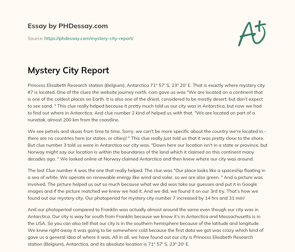 Mystery City Report essay