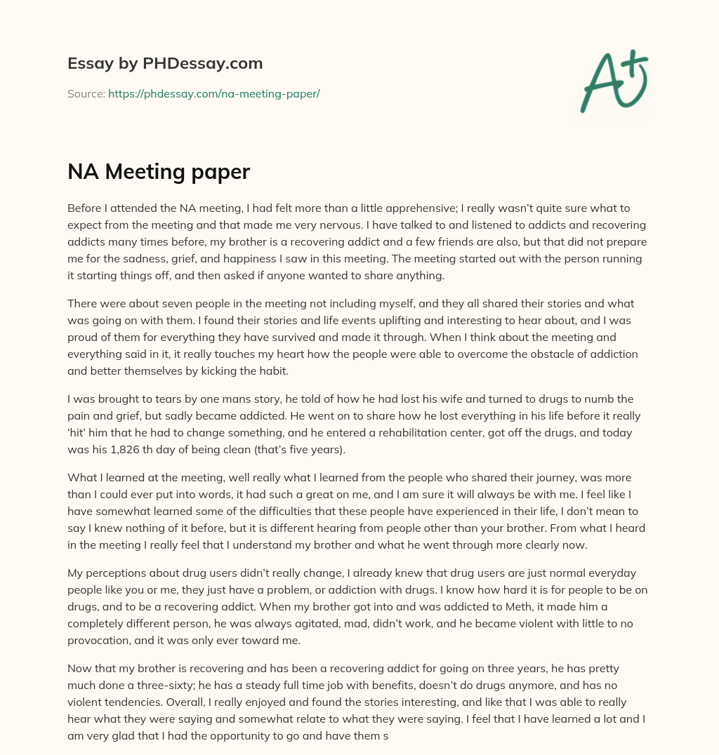 The Emotional Impact of Attending an NA Meeting essay