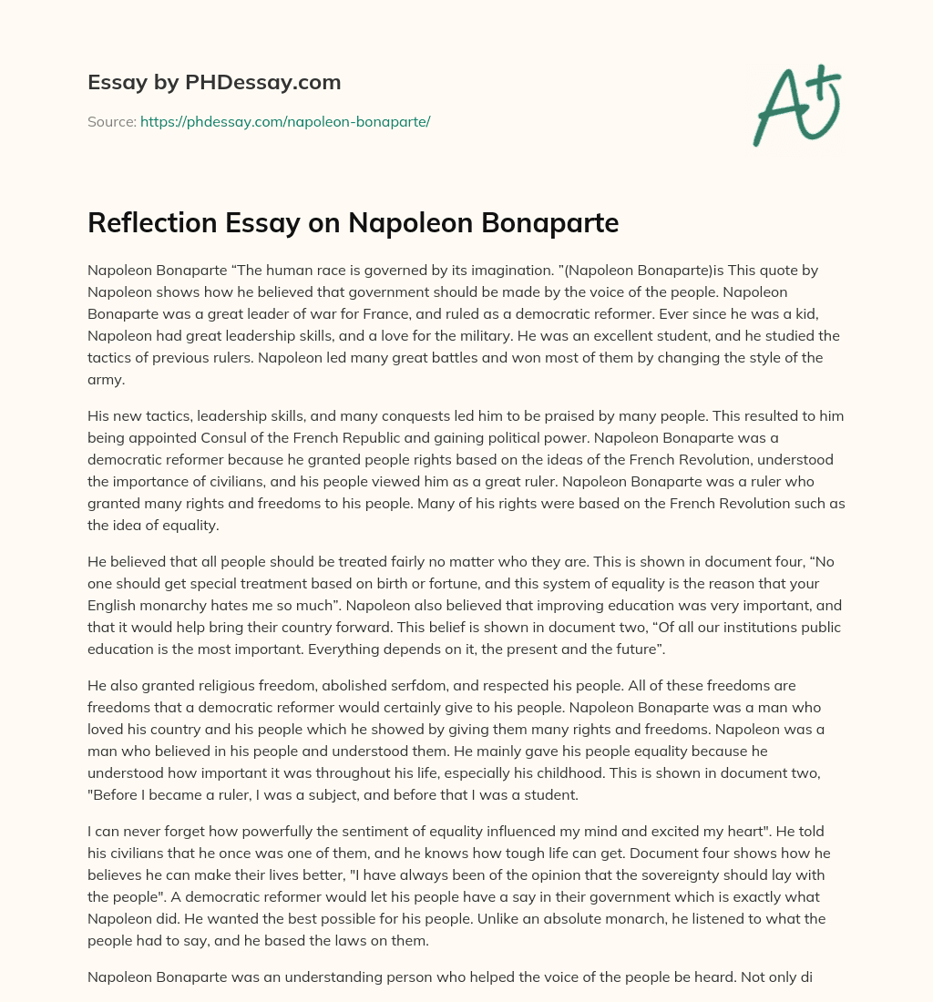Reflection Essay on Napoleon Bonaparte essay