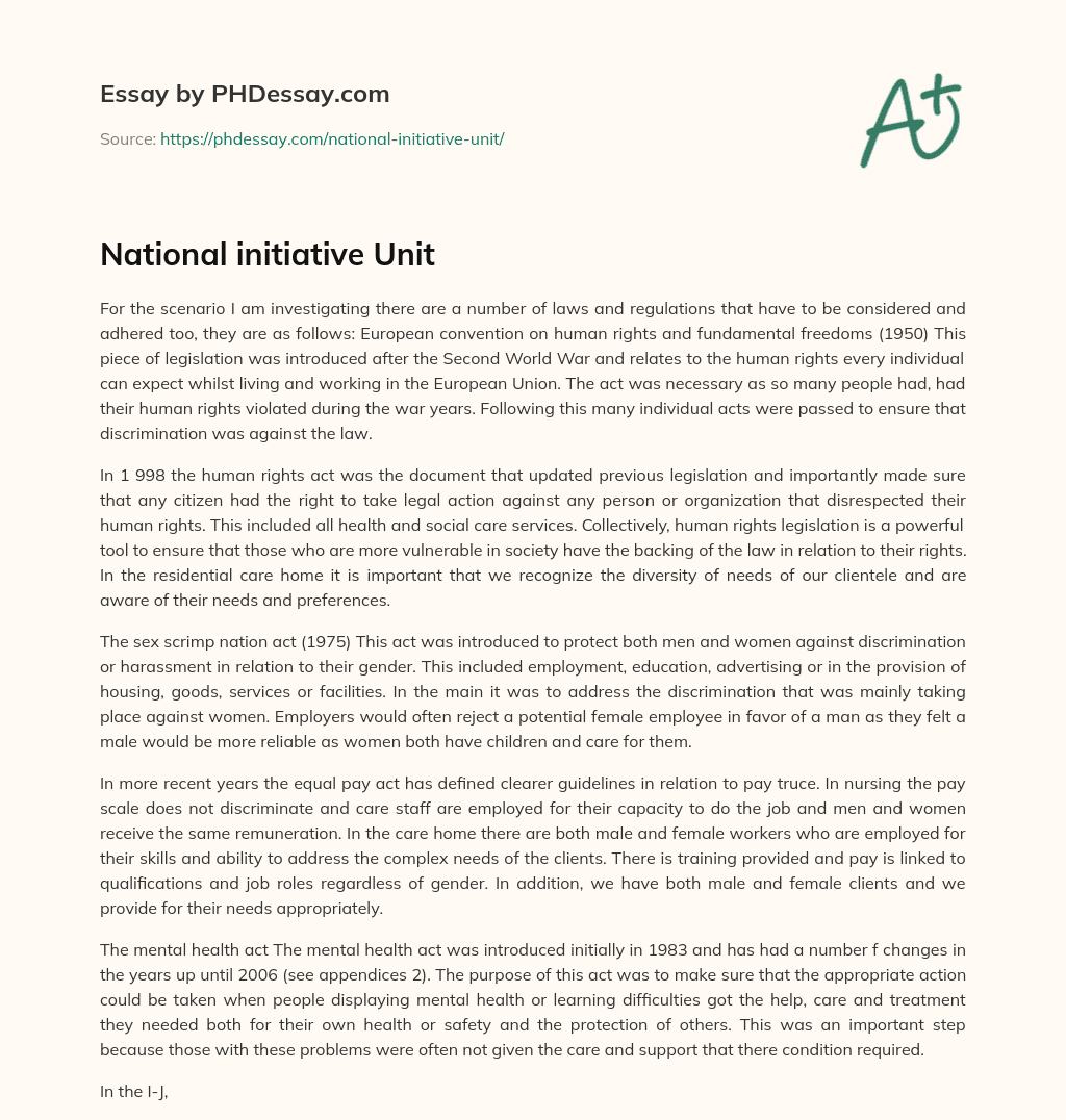 National initiative Unit essay