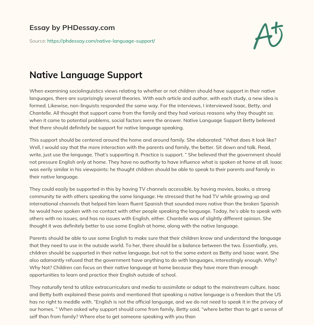 Native Language Support essay