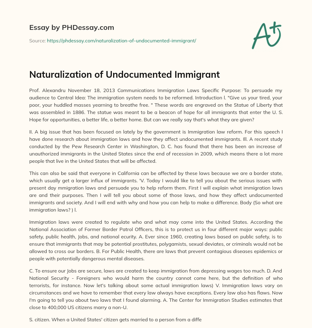 Naturalization of Undocumented Immigrant essay
