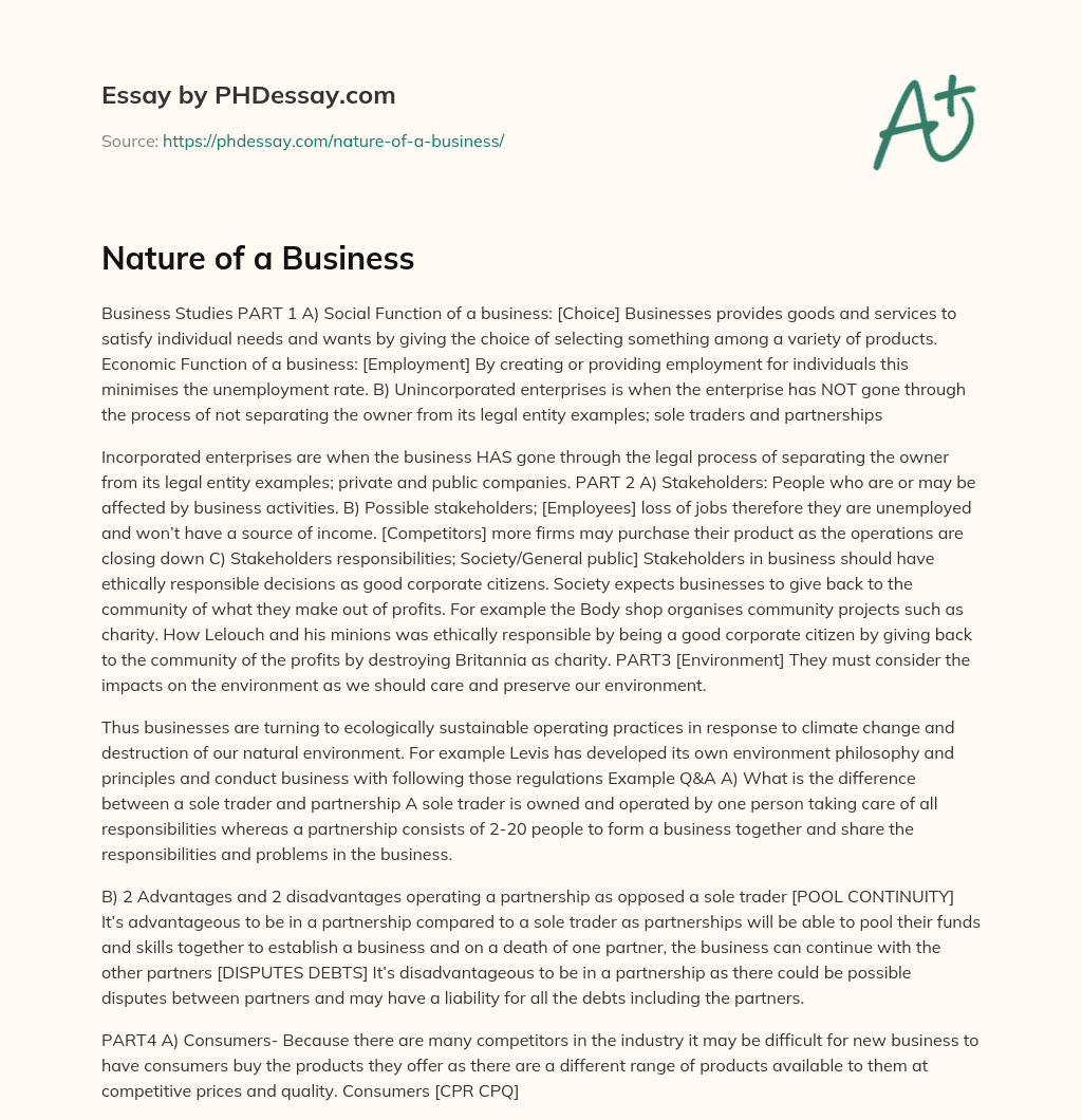 Nature of a Business essay