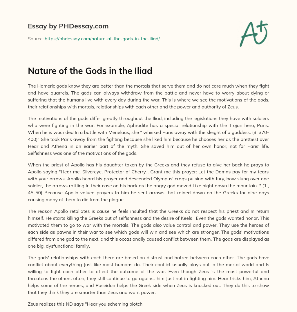 Nature of the Gods in the Iliad essay