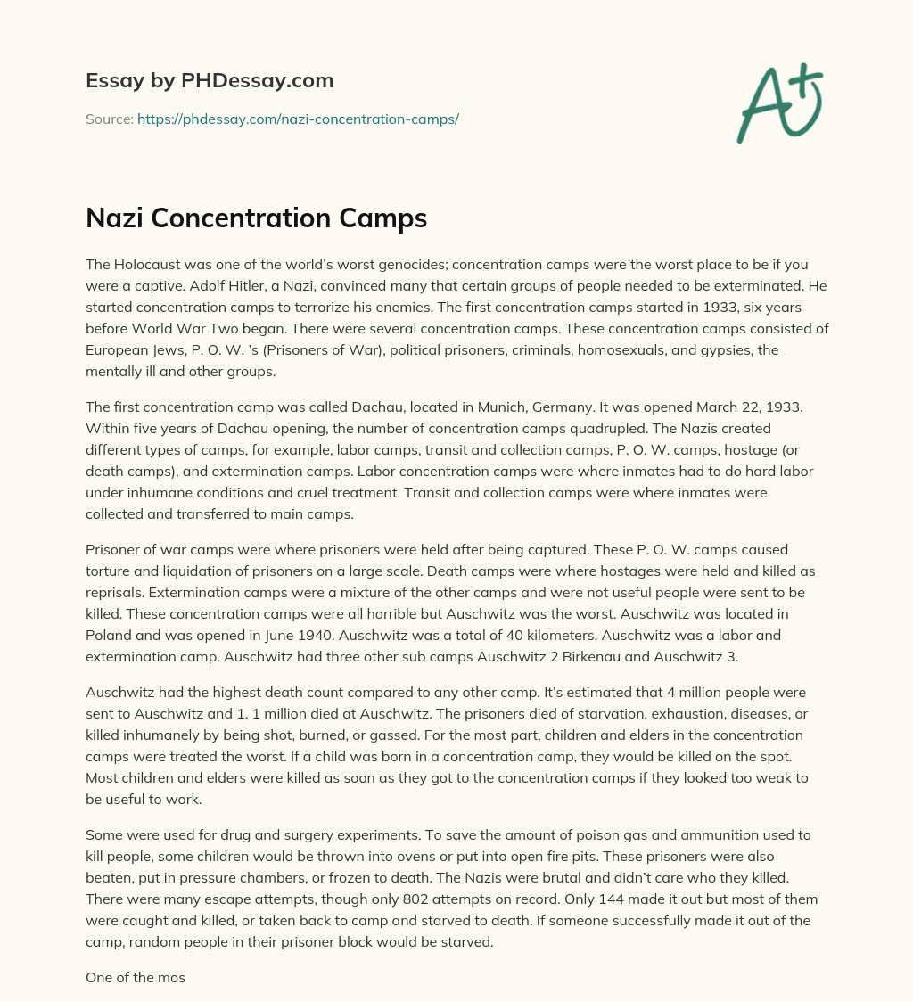 Nazi Concentration Camps essay