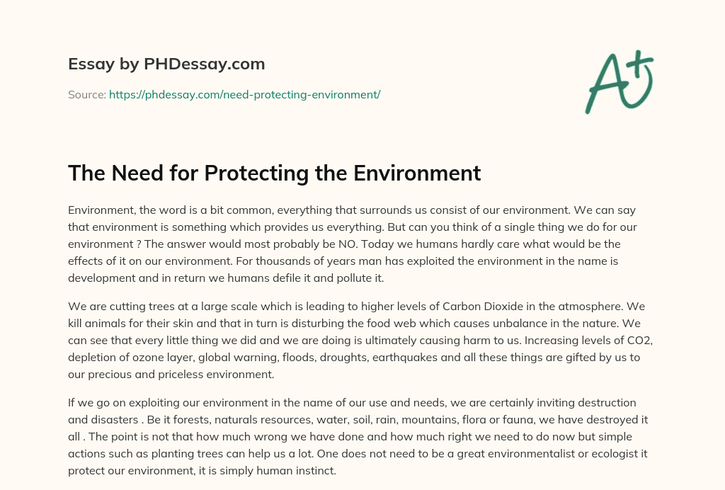 let's protect the environment essay