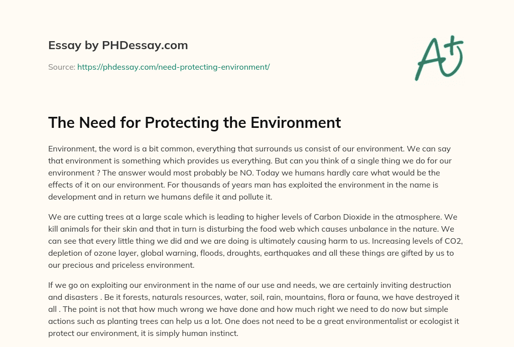 The Need For Protecting The Environment PHDessay