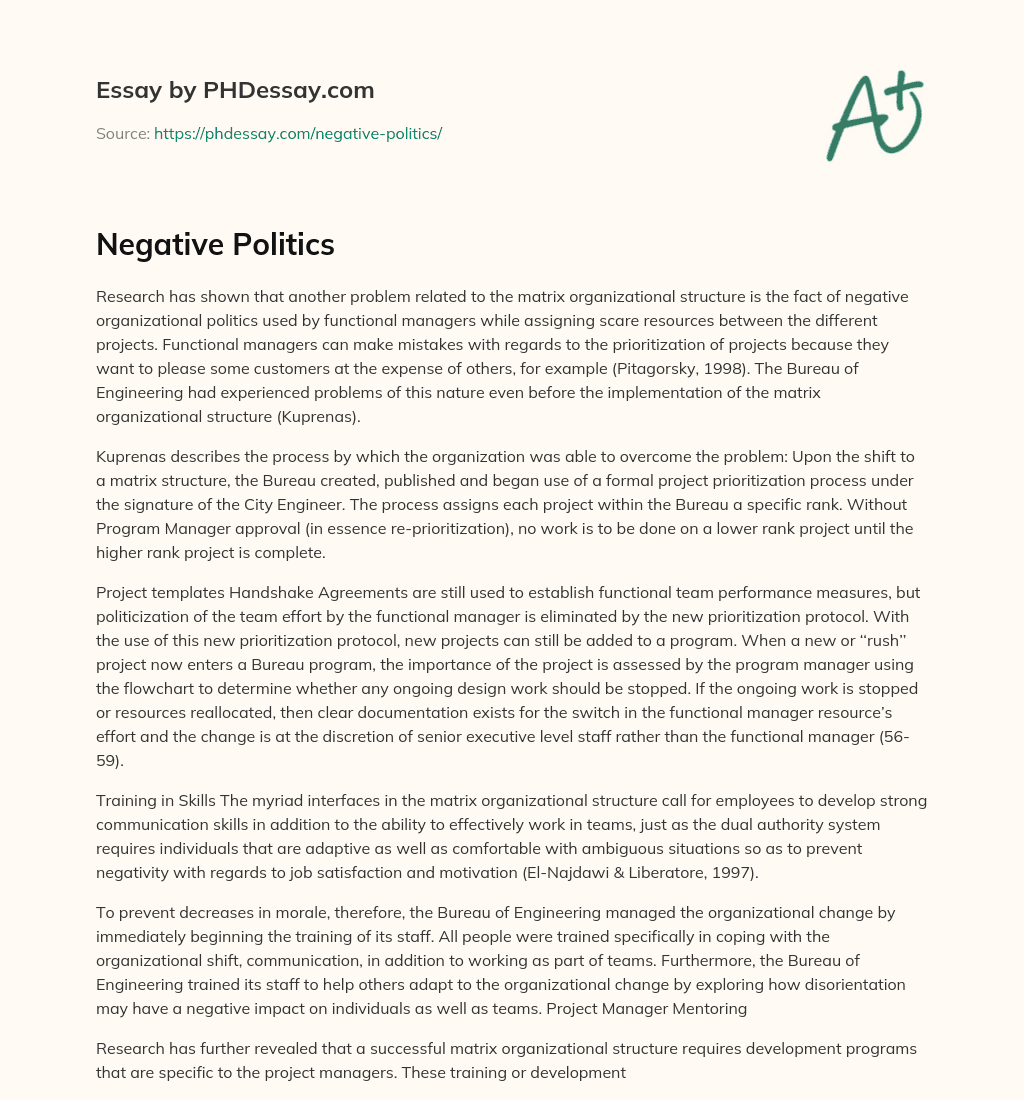 Negative Politics essay