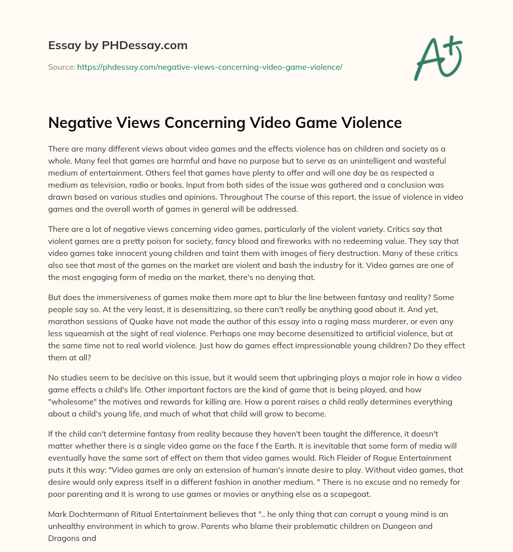 Negative Views Concerning Video Game Violence essay