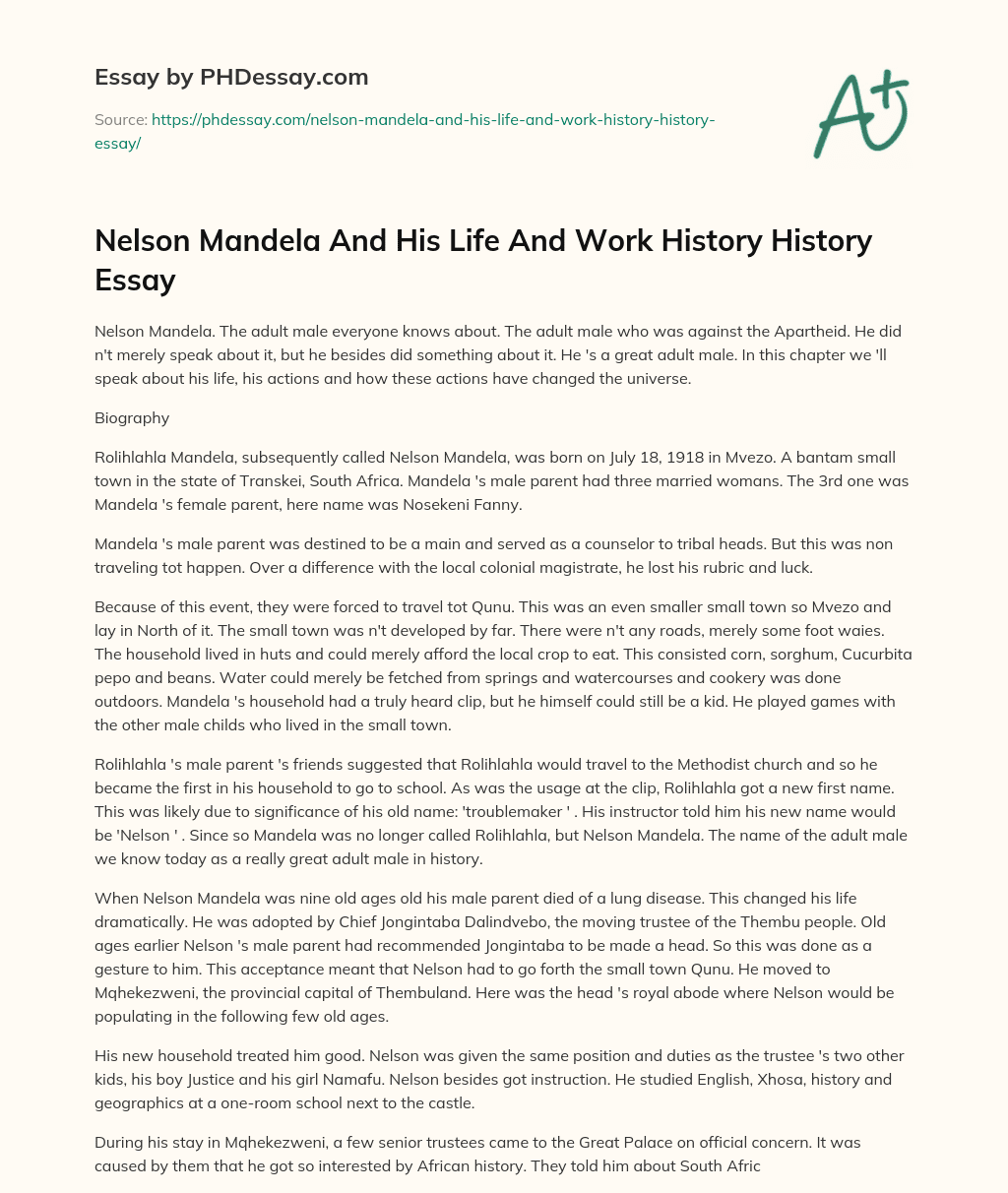 Nelson Mandela And His Life And Work History History Essay essay