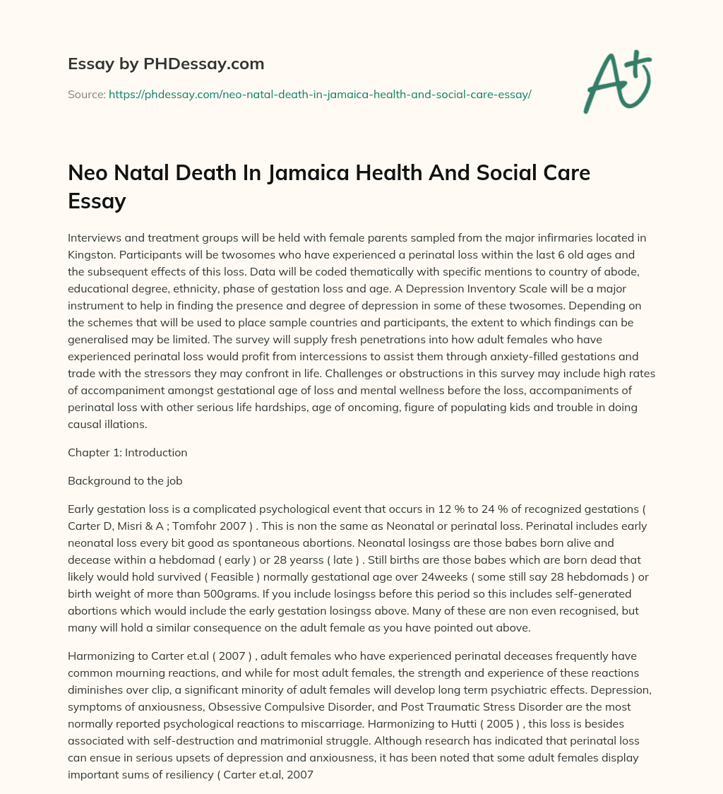 Neo Natal Death In Jamaica Health And Social Care Essay essay