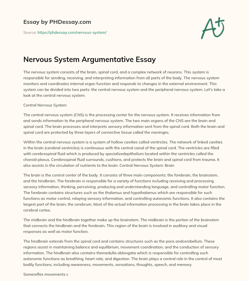 Nervous System Argumentative Essay essay