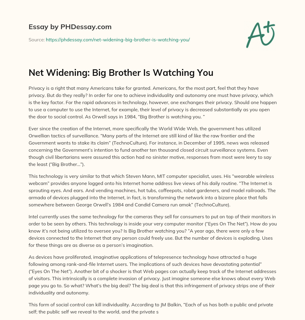 Net Widening: Big Brother Is Watching You essay