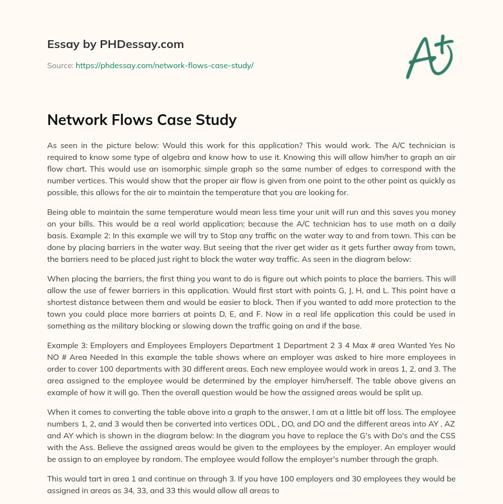 Network Flows Case Study essay